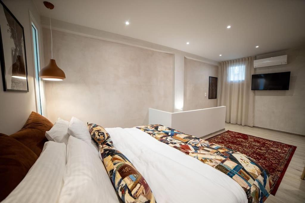 Meteora Loft Apartment Калампака Екстериор снимка
